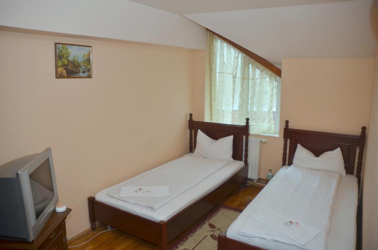 Pensiunea La Palaguta Baia Mare Buitenkant foto