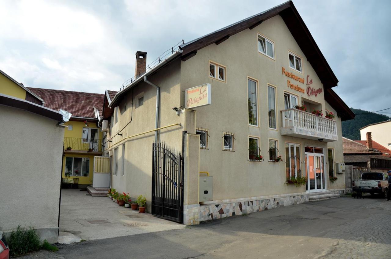 Pensiunea La Palaguta Baia Mare Buitenkant foto