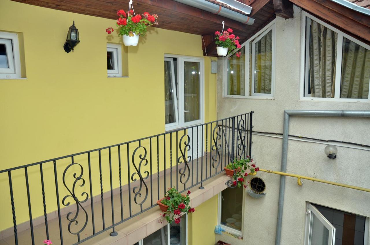 Pensiunea La Palaguta Baia Mare Buitenkant foto
