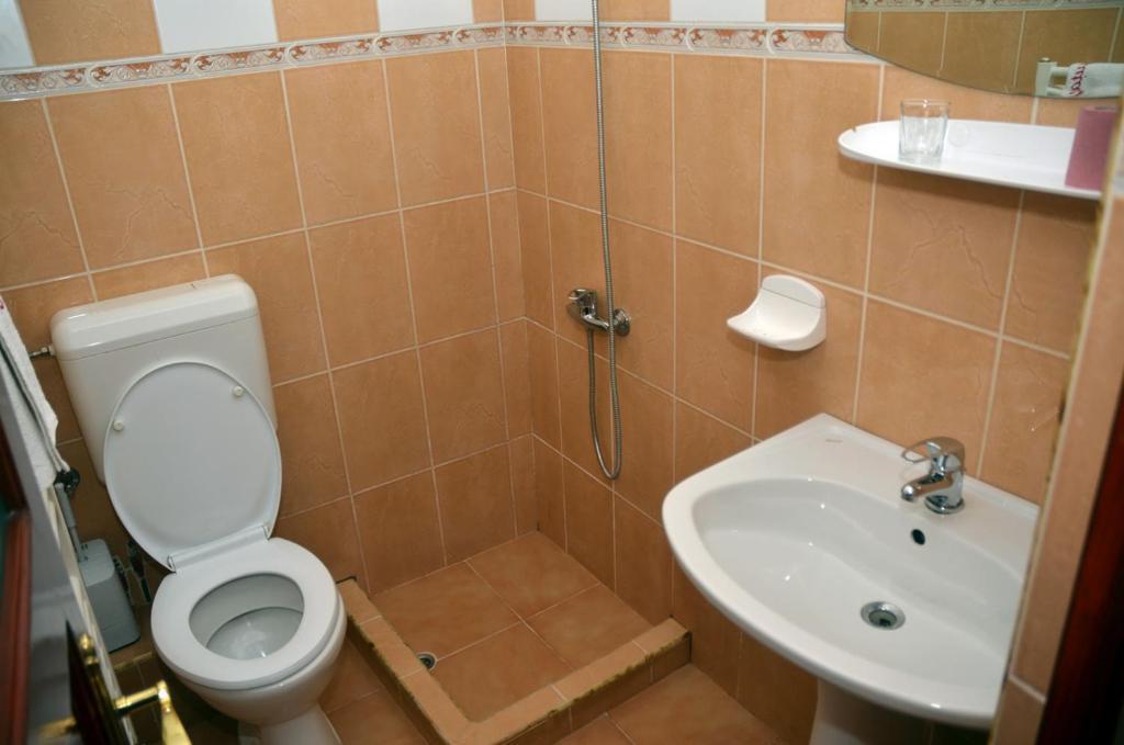 Pensiunea La Palaguta Baia Mare Kamer foto