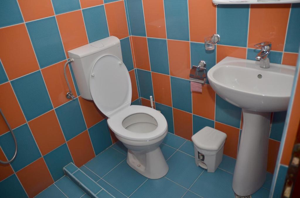 Pensiunea La Palaguta Baia Mare Kamer foto